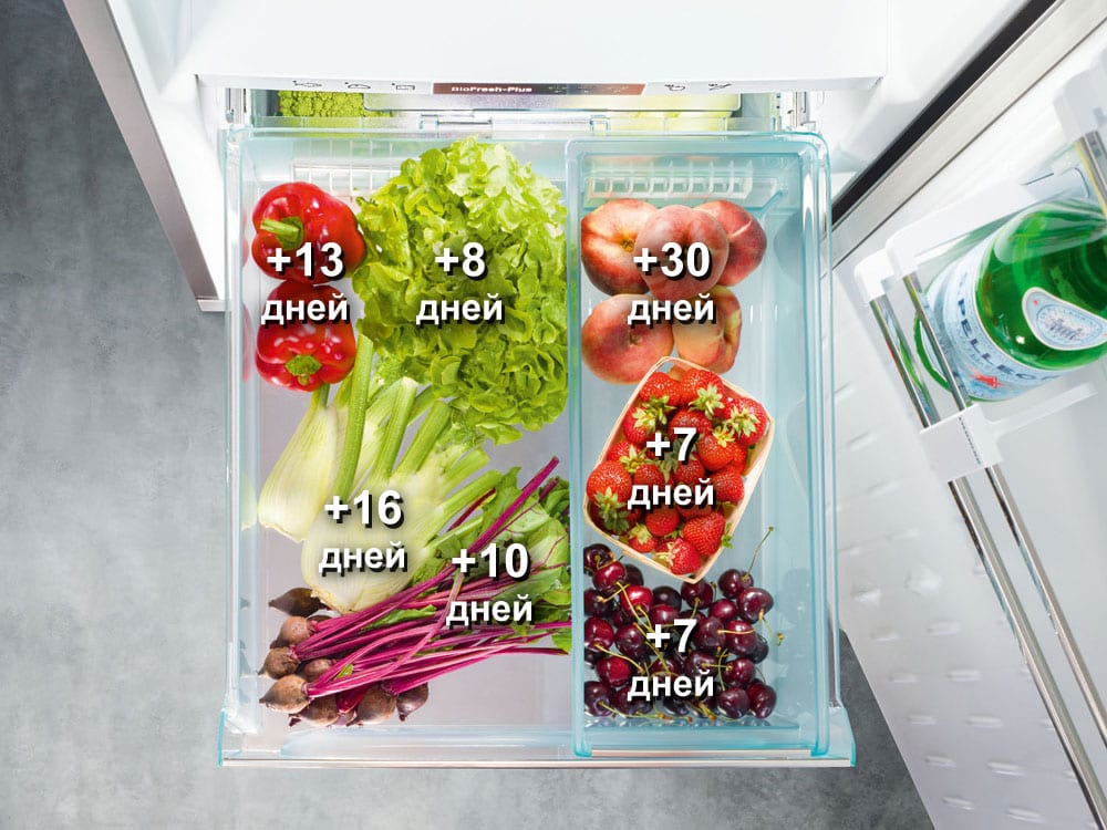 Холодильники Liebherr с системой BioFresh 